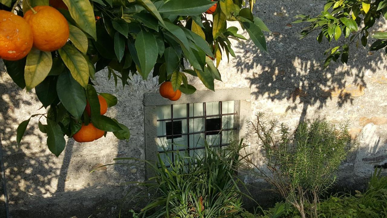 Casale Amati Country House Ortonovo Extérieur photo